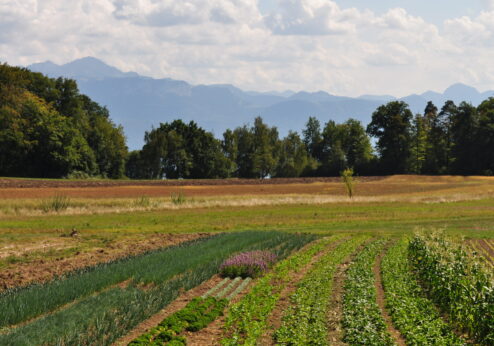 L’agrobiodiversité doit être renforcée