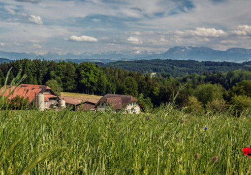 Renforcer la capacité de résilience pour relever les défis futurs