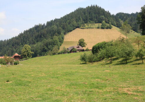 La commission choisit une politique agricole timorée