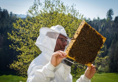 Une diversité de surfaces fleuries pour plus de vie