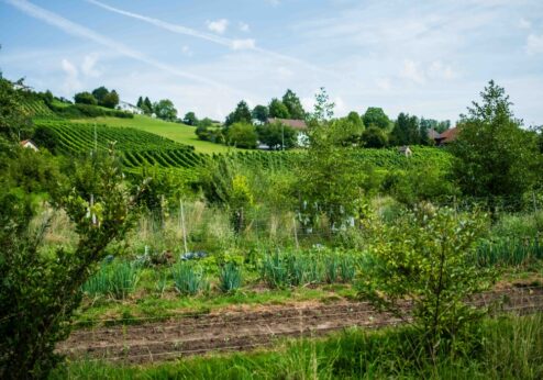 Une base essentielle pour l’avenir