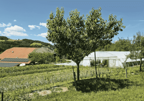 «On ne fait pas de concession sur la qualité»