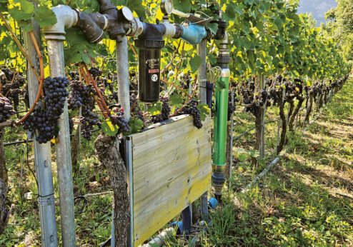 Salquenen: Repenser l’irrigation du vignoble