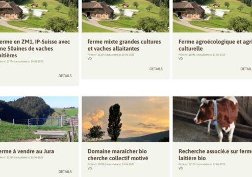 Un an et demi de plateforme numérique: bilan intermédiaire