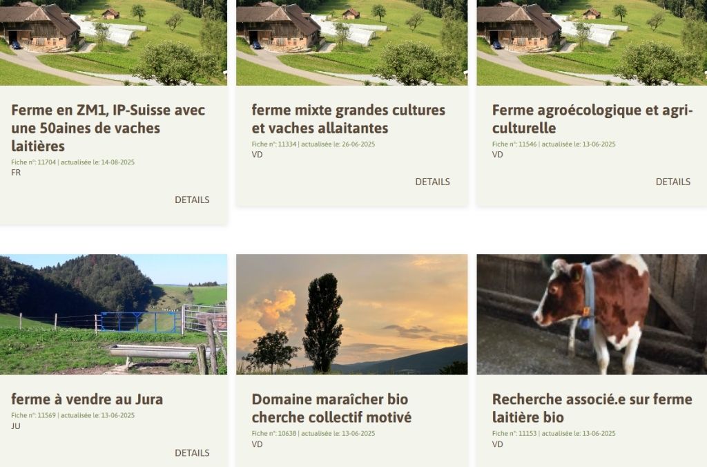 C'est ainsi que les cédants se présentent sur la plateforme numérique. Chaque semaine, 2 fermes et 5 à 6 personnes à la recherche d'une ferme s'inscrivent.