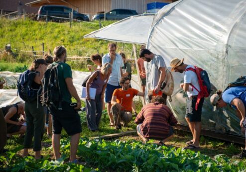 Soutien technique entre pairs dans les microfermes